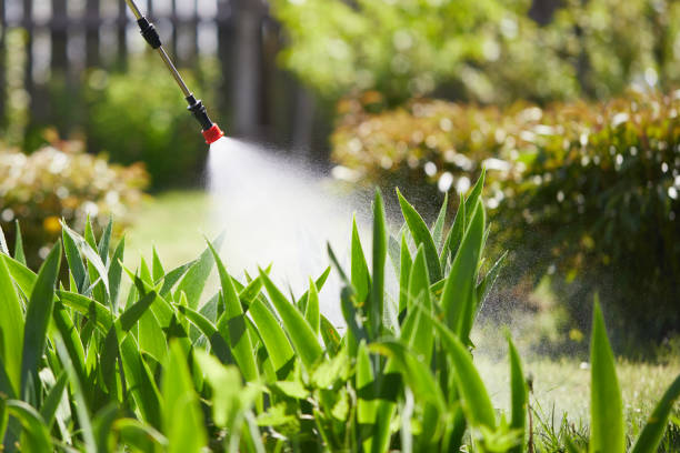 24/7 Emergency Mosquito Control experts in Prophetstown, IL